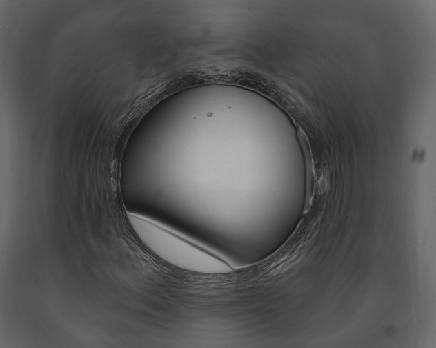 X0000091691156200708231124