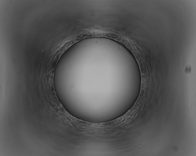 X0000091691157200708231124