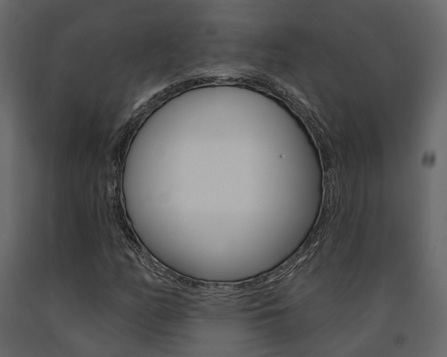 X0000091691158200708231124