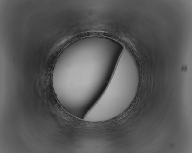 X0000091691159200708231124
