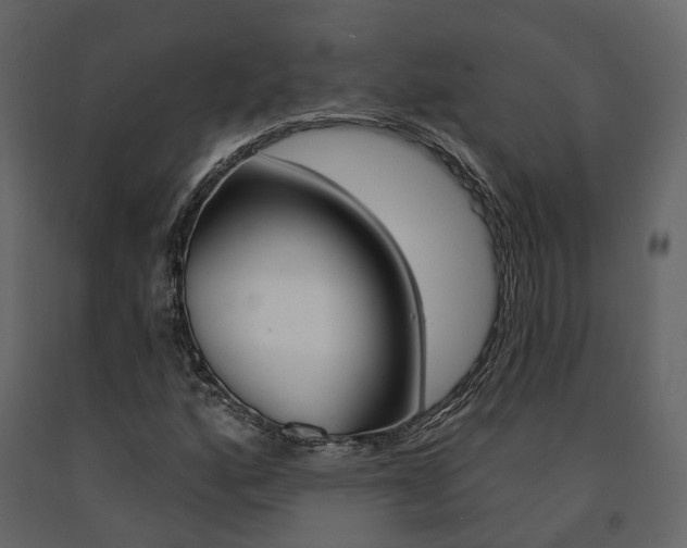 X0000091691160200708231124