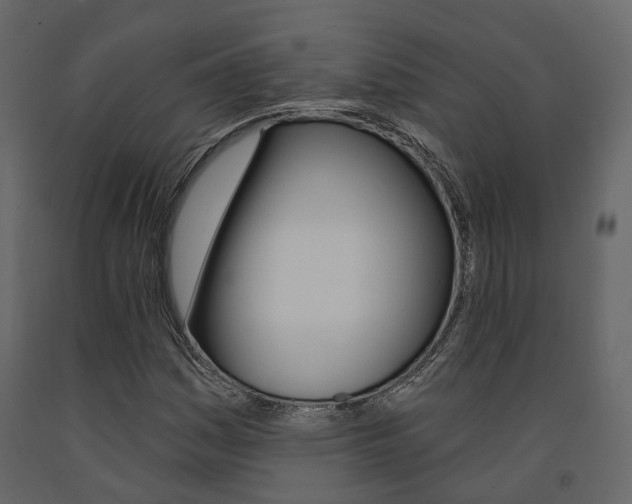 X0000091691161200708231124