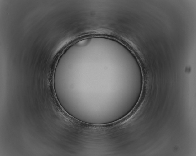 X0000091691163200708231124