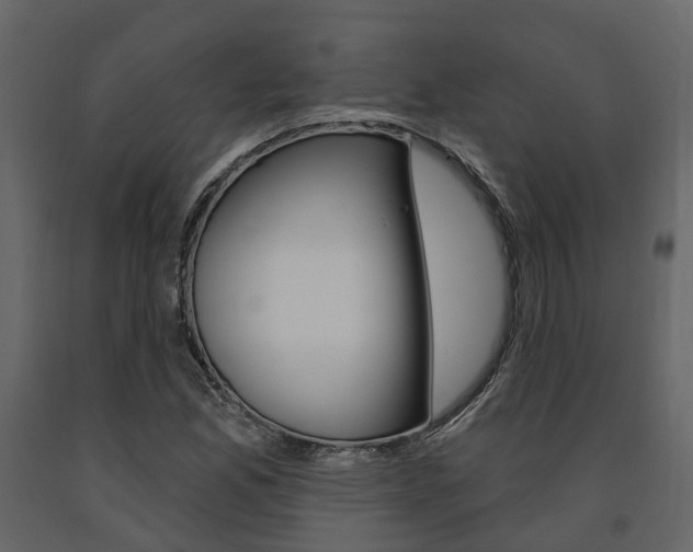 X0000091691165200708231124
