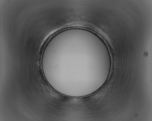 X0000091691166200708231124