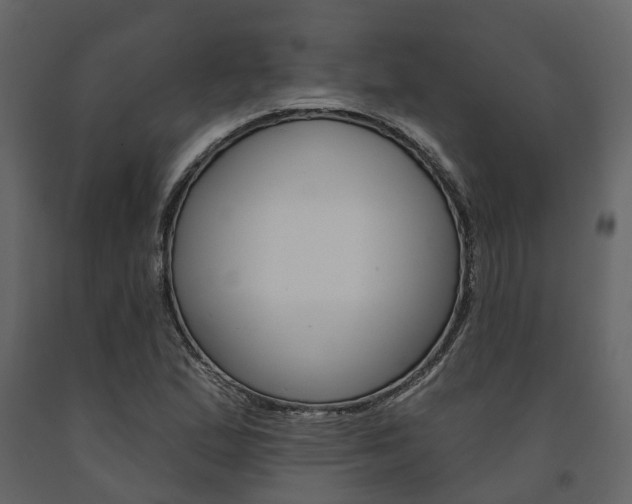 X0000091691167200708231124