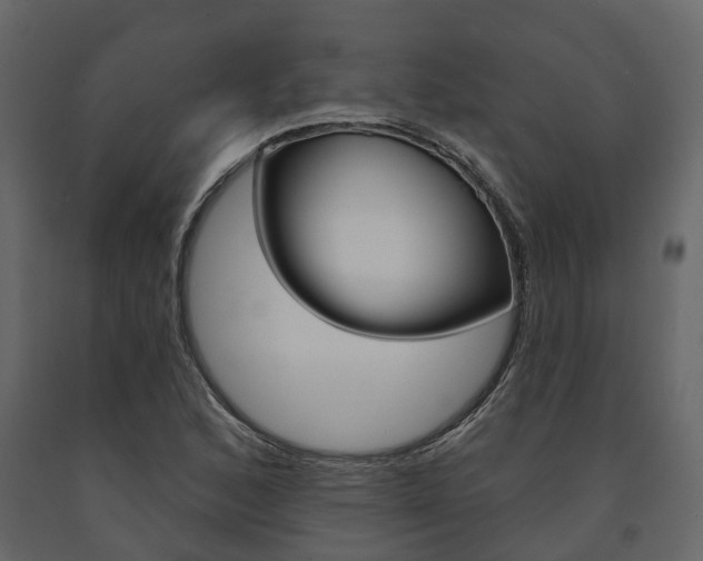 X0000091691168200708231124