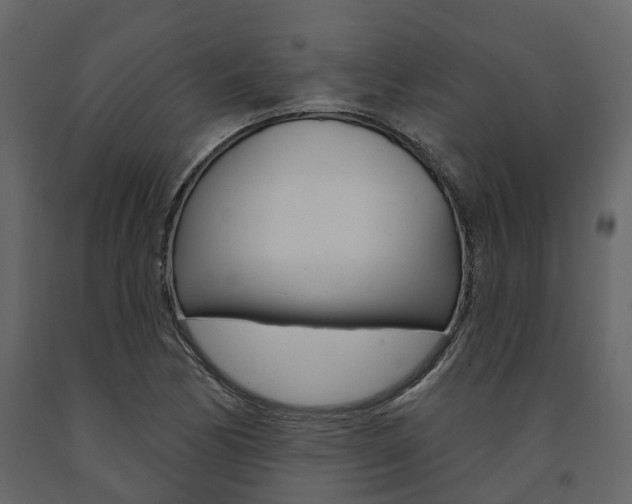 X0000091691170200708231124