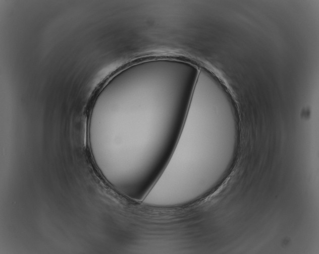 X0000091691171200708231124