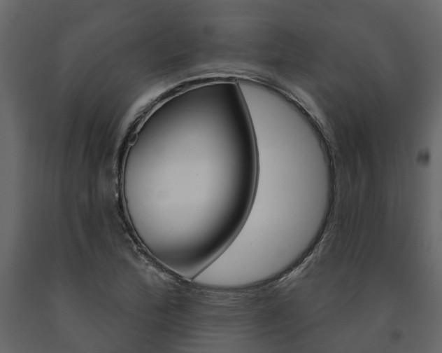 X0000091691172200708231124