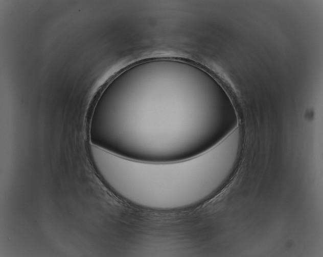 X0000091691173200708231124