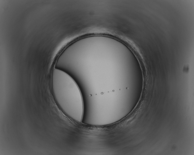 X0000091691175200708231124
