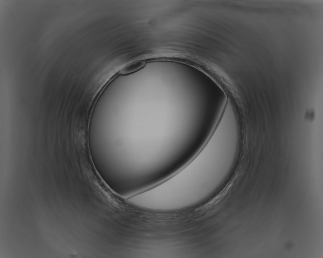 X0000091691177200708231124