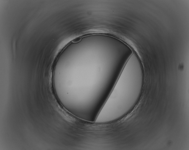 X0000091691179200708231124
