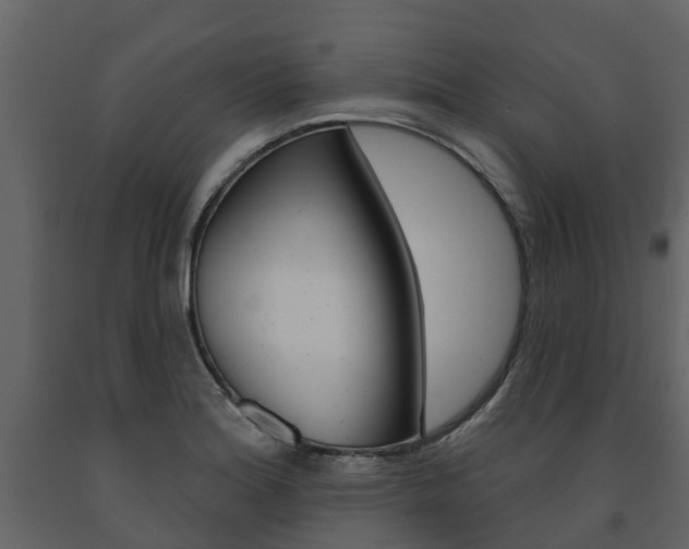 X0000091691180200708231124