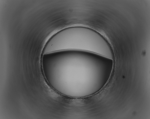 X0000091691181200708231124