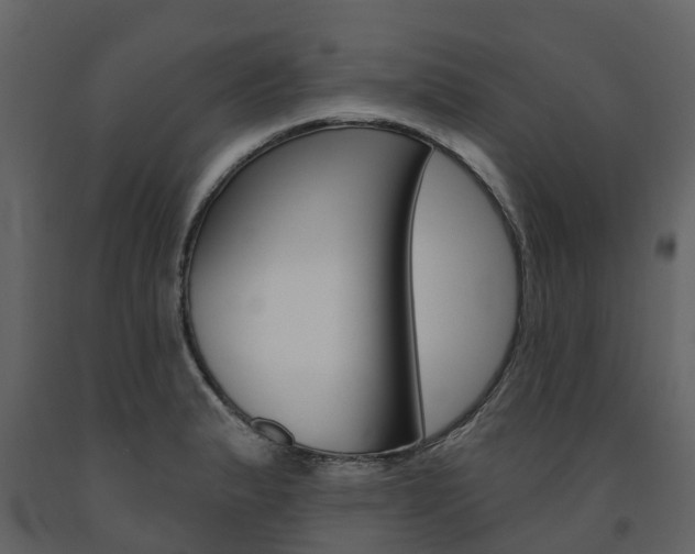 X0000091691183200708231124