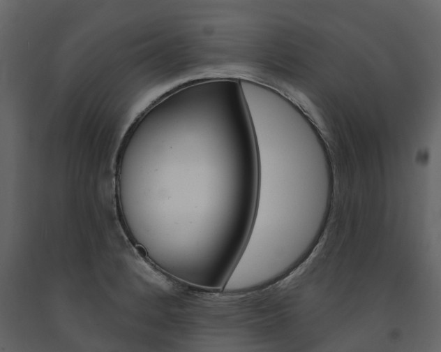 X0000091691184200708231124