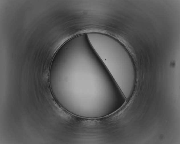 X0000091691185200708231124
