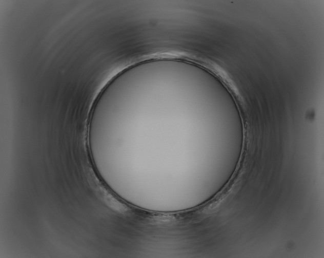 X0000091691186200708231124