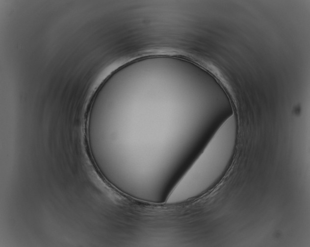 X0000091691187200708231124