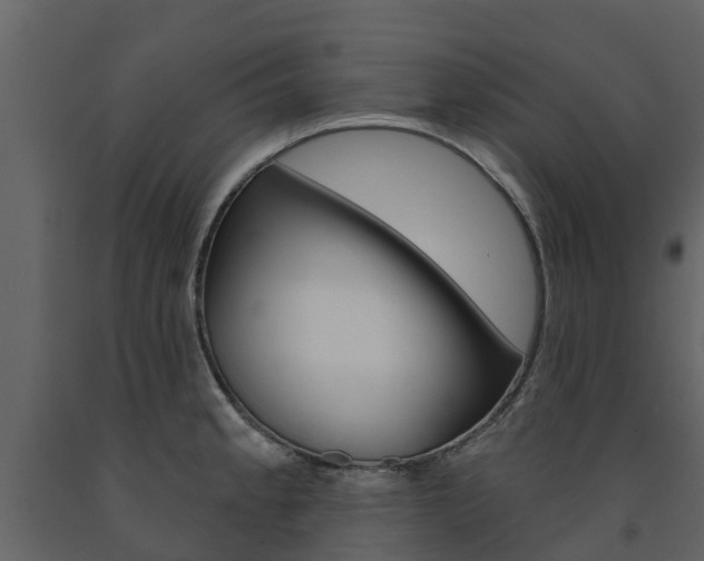 X0000091691189200708231124