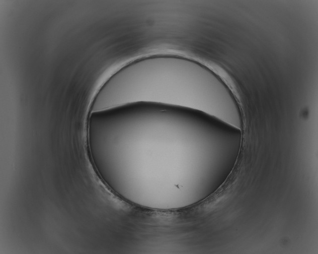 X0000091691191200708231124
