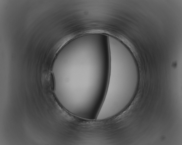 X0000091691193200708231124