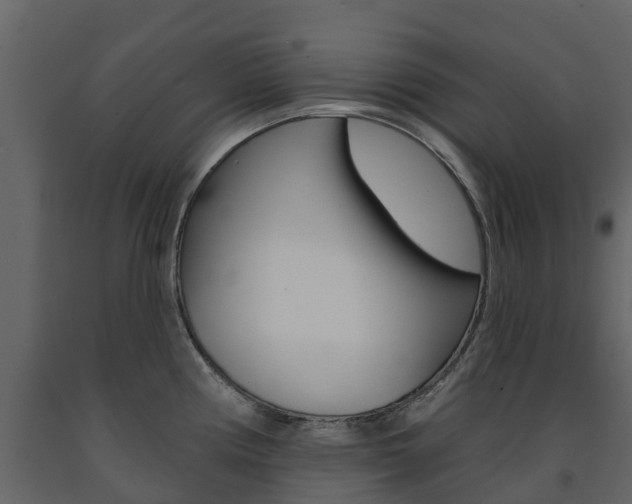 X0000091691194200708231124