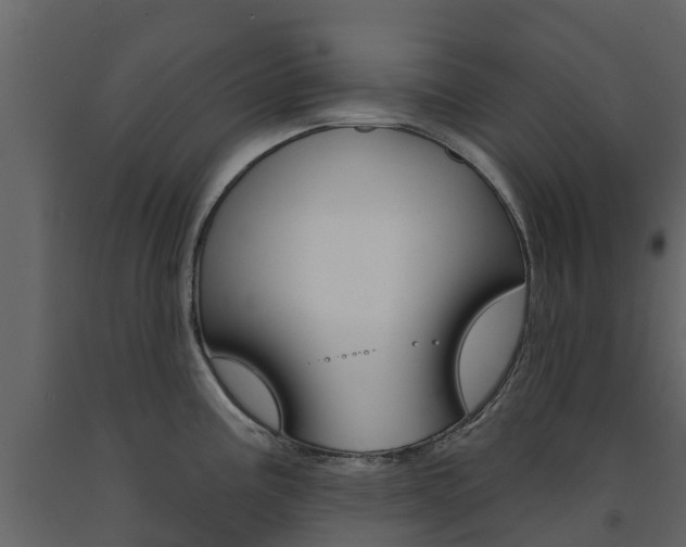 X0000091691195200708231124