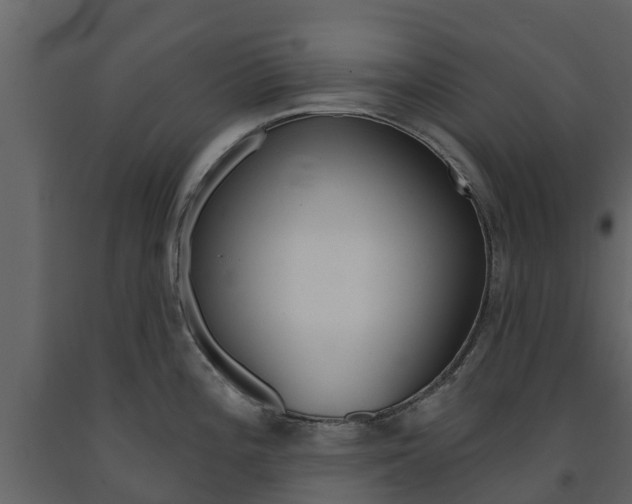 X0000091691196200708231124