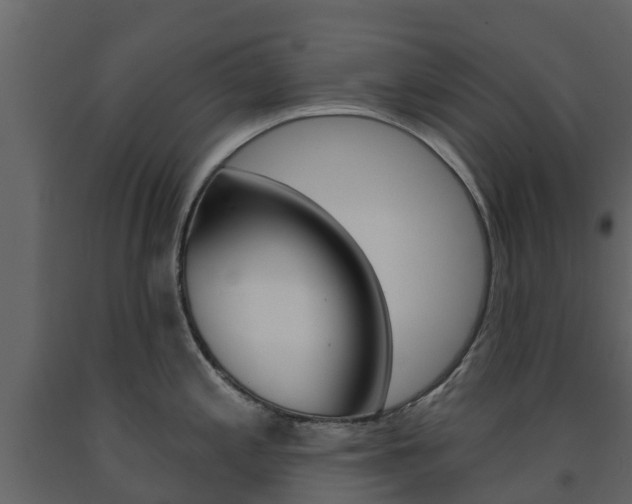 X0000091691197200708231123