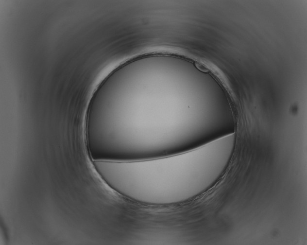 X0000091691199200708231123