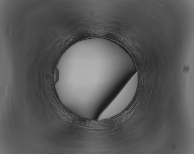X0000091691201200708231123