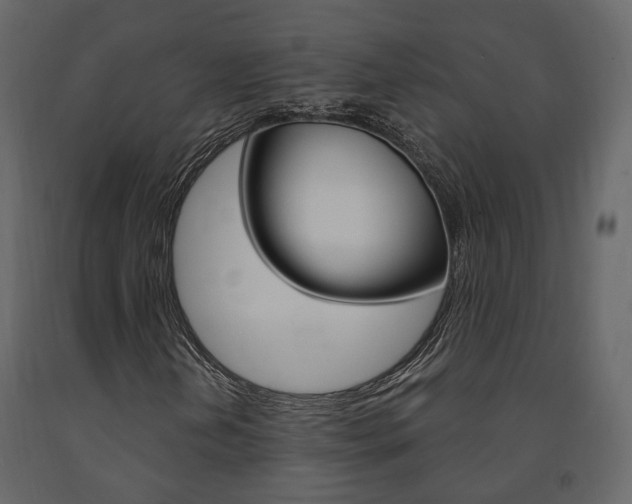 X0000091691202200708231123