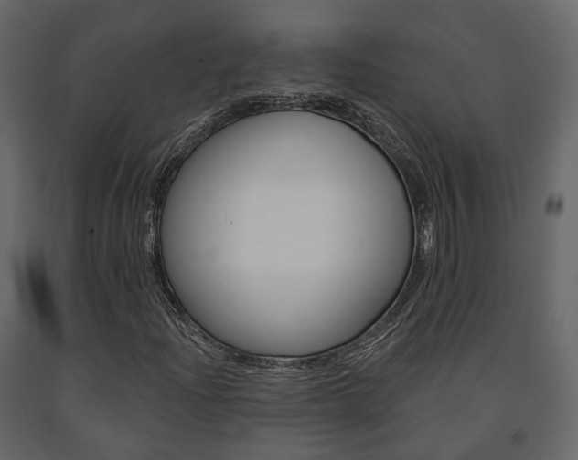 X0000091691204200708231123