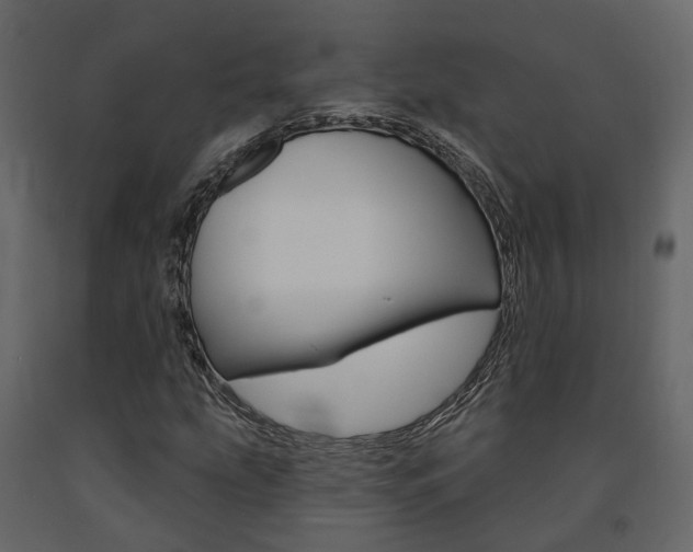 X0000091691207200708231123