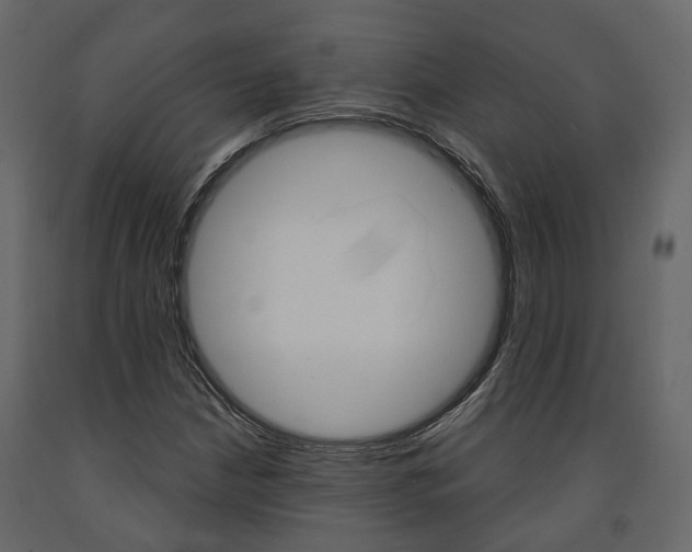X0000091691210200708231123
