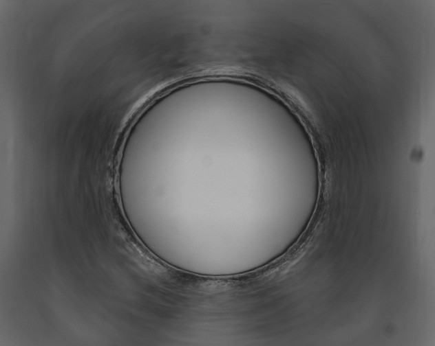 X0000091691212200708231123