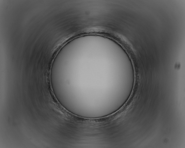 X0000091691217200708231123