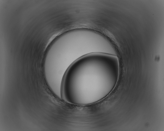 X0000091691218200708231123