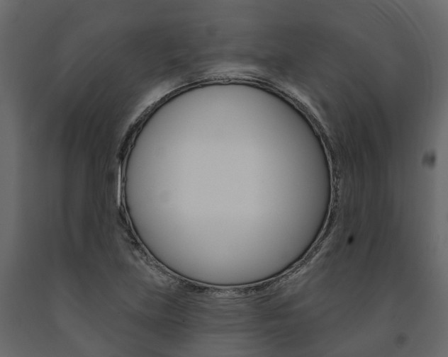 X0000091691219200708231123