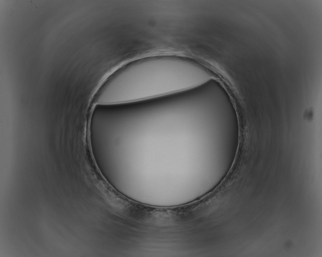 X0000091691220200708231123