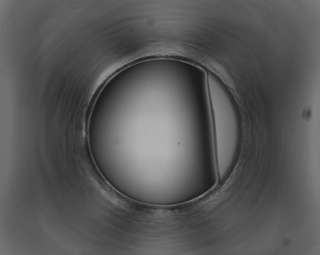 X0000091691226200708231123