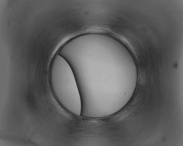 X0000091691227200708231123