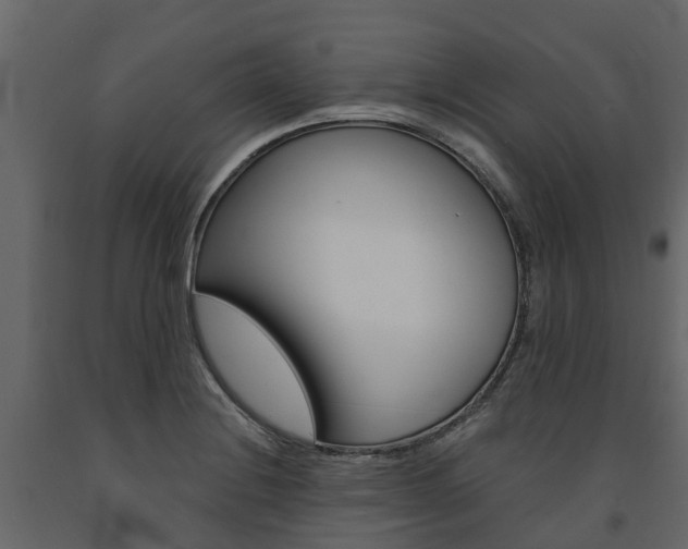 X0000091691228200708231123