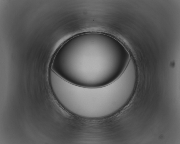 X0000091691230200708231123