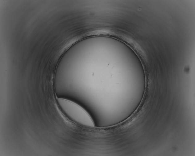 X0000091691233200708231123