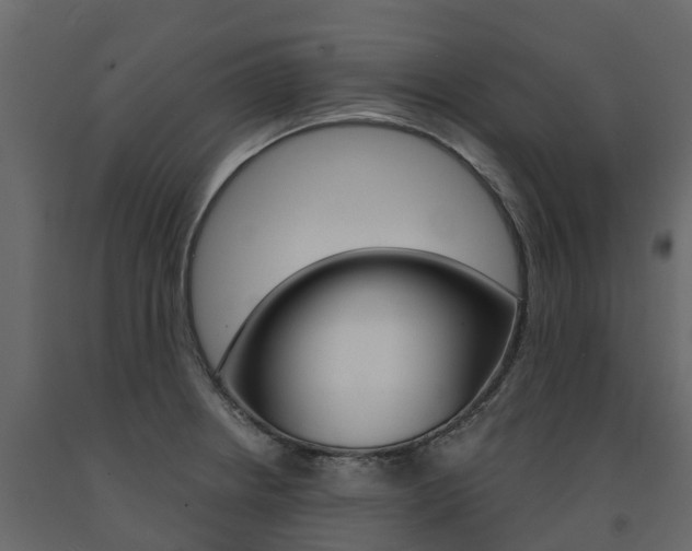X0000091691234200708231123