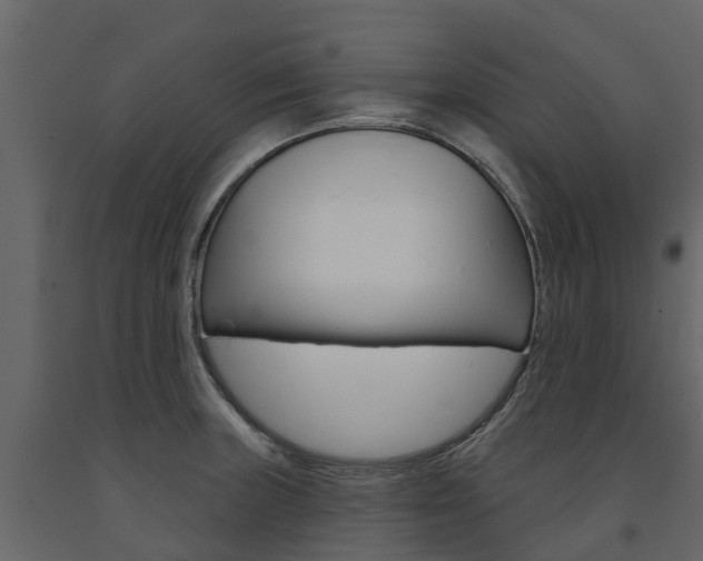 X0000091691235200708231123